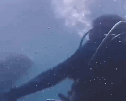 【清水社長の週末】