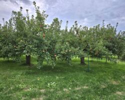 八戸市から弘前市に移動。
■弘前市 MORI・YAMA・EN
果樹の大規模経営を可能にするために、8.7ヘクタールのりんご園の様々な情報を果樹農園に特化したクラウドアプリケーション「Ad@m」で管理している。
ITと一次産業の融合は今後のビジネスモデル構築に非常に重要な要素となる。
ファームノートにしかり "百聞は一見にしかず"
大変勉強になった。