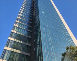 e.-TOYOTA部
カスタマーエンゲージメントグループ