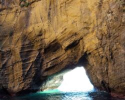 ②朝礼で清水社長からお話があった年末年始の下田です。下田市は静岡県の伊豆半島南東部に位置し、風光明媚な観光地です。