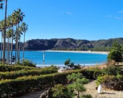 ①朝礼で清水社長からお話があった年末年始の下田です。下田市は静岡県の伊豆半島南東部に位置し、風光明媚な観光地です。