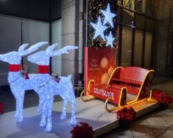 北九州小倉リバウォークのイルミネーションです。