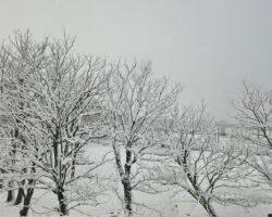 名古屋→新大阪 新幹線からほんの2時間の変化