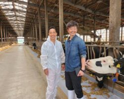 株式会社ファームノート
一次産業とITの融合は今後の日本経済にとって重要な取り組みです。
全ての牛はゲノム検査され、餌の摂取量、搾乳量、体重、健康状態、発情期のタイミングがグラウンドで管理されています。
これを分析する事で、効率的に搾乳できる固体だけを残し経済効率性を向上させています。
搾乳するためには効率的に妊娠させ続けることも重要な施策です。
ホルスタインを母体として赤牛の受精卵を移植し、子供を生ませる取り組みも加速しています。