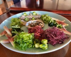 五洋建設とテクノ見学及び会食!土地規制情報の拡販を依頼しています。