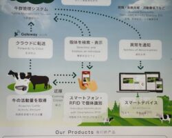 株式会社ファームノート
一次産業とITの融合は今後の日本経済にとって重要な取り組みです。
全ての牛はゲノム検査され、餌の摂取量、搾乳量、体重、健康状態、発情期のタイミングがグラウンドで管理されています。
これを分析する事で、効率的に搾乳できる固体だけを残し経済効率性を向上させています。
搾乳するためには効率的に妊娠させ続けることも重要な施策です。
ホルスタインを母体として赤牛の受精卵を移植し、子供を生ませる取り組みも加速しています。