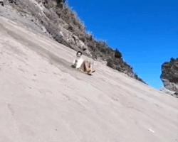 ⑤朝礼で清水社長からお話があった年末年始の下田です。下田市は静岡県の伊豆半島南東部に位置し、風光明媚な観光地です。