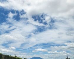 鹿児島 インターウェーブ社とDX、クラウド向け補助金申請ビジネスの打ち合わせ!