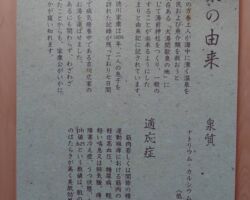 4/18-19で行われた幹部予算合宿③